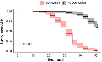 Ecophysiological Responses of the Lesser Mealworm Alphitobius diaperinus Exposed to Desiccating Conditions